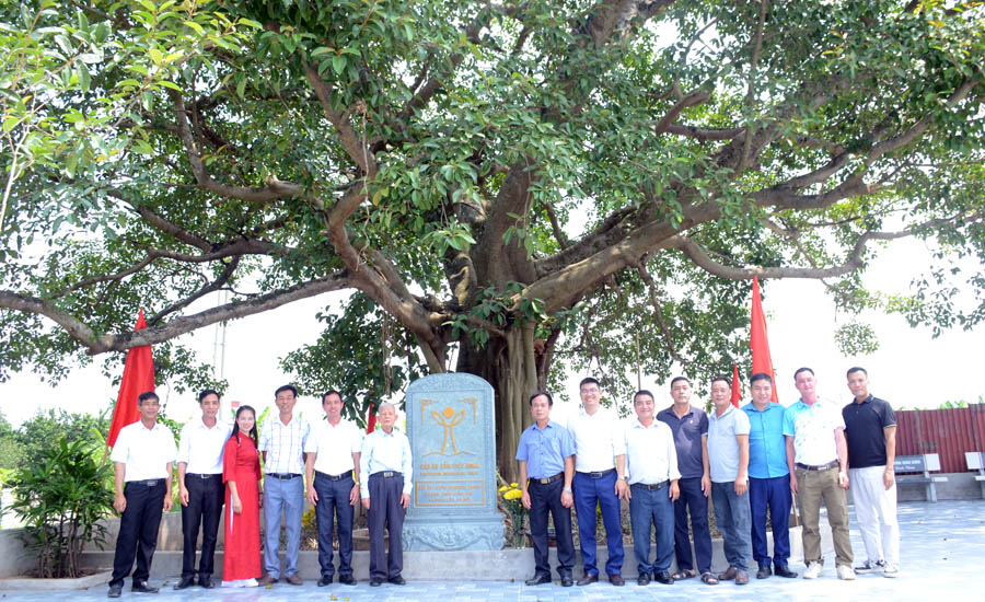 Hai[-]c&acirc;y[-]Đa[-]cổ[-]thụ[-]th&ocirc;n[-]Xu&acirc;n[-]Ph&uacute;[-]được[-]c&ocirc;ng[-]nhận[-]C&acirc;y[-]Di[-]sản[-]Việt[-]Nam